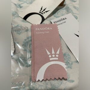 NWOT Pandora Sterling Silver polishing cloth.